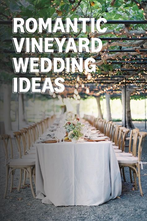 vineyard wedding ideas September Vineyard Wedding, Vineyard Wedding Table Decor, Small Winery Wedding, Winery Wedding Theme, Winery Wedding Ideas, Vineyard Wedding Ideas, Winery Wedding Decorations, Summer Vineyard Wedding, Vineyard Wedding Reception