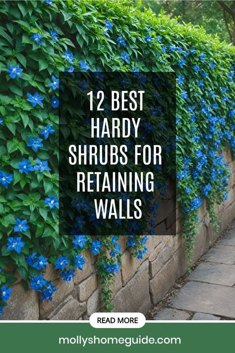 Discover the top shrubs ideal for retaining walls, offering beauty and functionality to your landscape. From cascading plants perfect for erosion control to flowering hedges creating privacy, explore a range of options including foundation shrubs and plants suitable for slopes. Find the best shrubs that not only enhance the aesthetic appeal but also serve as effective solutions for erosion control. Upgrade your outdoor space with these stunning choices! Landscaping A Retaining Wall, Planted Retaining Wall, Retaining Wall With Plants, Cascading Plants Outdoor, Retaining Wall Plants, Erosion Control Landscaping, Foundation Shrubs, Retaining Wall Landscape, Flowering Hedges