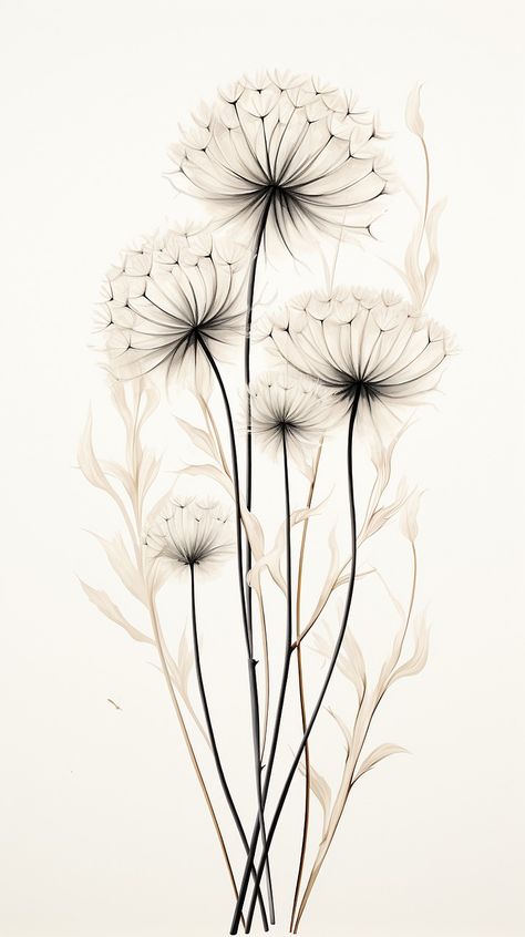 Tattoo Dandelion, Cassiopeia Constellation, Dandelion Tattoo Design, Dandelion Drawing, Dandelion Wallpaper, Cool Tattoo Drawings, Dandelion Tattoo, Dandelion Clock, Watercolor Flowers Tutorial