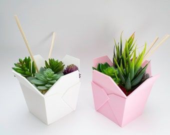 Chinese Takeout Box, Pot Art, Takeout Food, Chinese Takeout, Take Out Containers, Unhealthy Obsession, Soft Pink Color, Bamboo Plants, Small Succulents