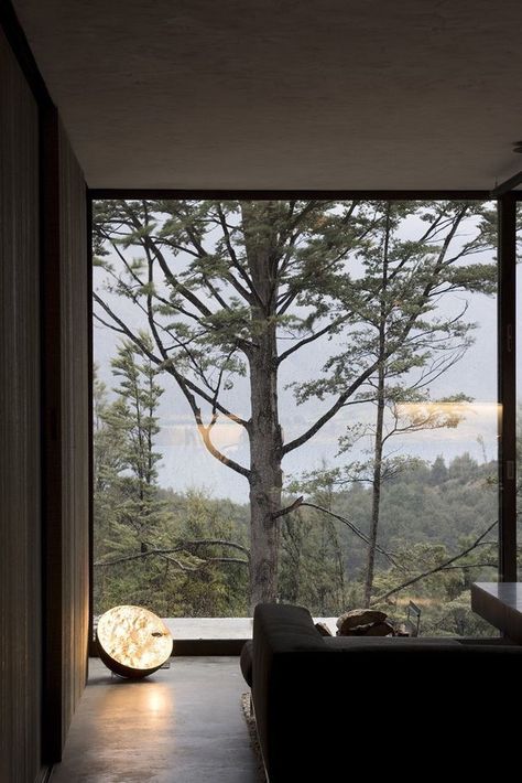 Tree House Interior, House Ideas, Bedroom Windows, Mountain Retreat, Big Windows, Window View, Floor To Ceiling Windows, Ceiling Windows, Trendy Bedroom