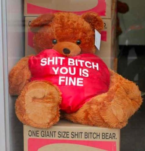 The only stuffed animal that says how you really feel. | This Is What Happens When People Have No Time For Bullshit Doug Funnie, Sup Girl, Lizzie Hearts, My Funny Valentine, It Goes On, Funny Valentine, You Smile, Bones Funny, San Valentino