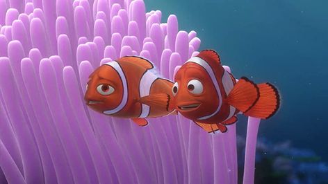 Emotional Stories, Finding Nemo Characters, Finding Nemo 2003, Film Disney, Dreamworks Trolls, Dreamworks Animation, Clown Fish, Finding Nemo, Disney Movie