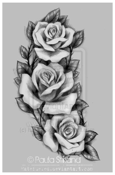 Roses for Amber by hatefueled.deviantart.com on @DeviantArt Black And Grey Rose, Rose Drawing Tattoo, Roses Tattoo, Seni Dan Kraf, Rosen Tattoo, Rose Tattoo Design, Rose Drawing, Roses Drawing, 문신 디자인