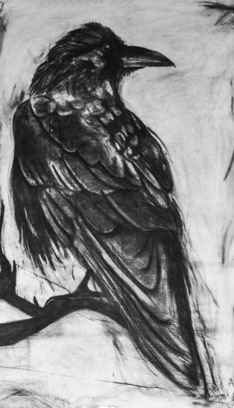 Crows Drawing, Charcoal Artwork, Graphite Art, Art Charcoal, Crow Art, A Crow, Raven Art, Charcoal Sketch, Charcoal Drawings