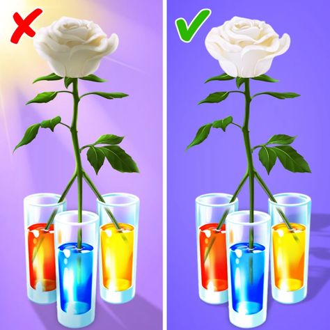 How to Make Rainbow Roses / 5-Minute Crafts Rose Step By Step, Dyed Flowers, Colored Roses, Rose Crafts, Blue Food Coloring, Diy Rainbow, Bottle Cap Crafts, Rose Stem, Rainbow Roses