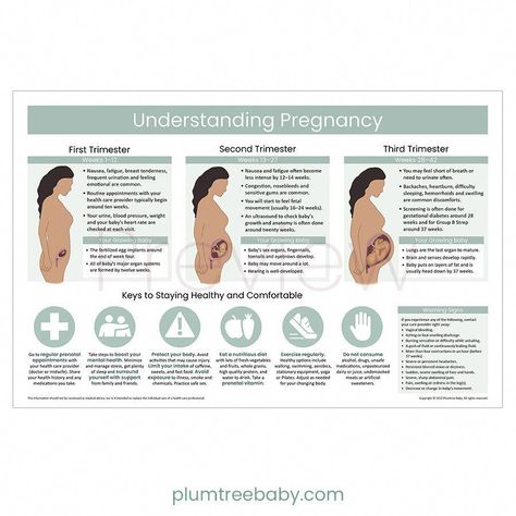 This brand new poster provides an over of what to expect for each trimester, tips for staying healthy and warning signs for pregnancy. This poster is perfect to hang in exam rooms or to introduce clients to pregnancy.  The Understanding Pregnancy poster is included in the Childbirth Education Poster Set.  See Specifica Prenatal Classes, Pregnancy Info, Be Uncomfortable, Childbirth Education, Pregnancy Information, Pregnancy Signs, Prenatal Care, Health Planner, Second Trimester