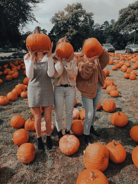 Bridesmaid Activities, Pumpkin Patch Photoshoot Family, Eyes Pumpkin, Cute Fall Pictures, Pumpkin Patch Photography, Fall Poses, Pumpkin Vibes, Pumpkin Eyes, Future Photoshoot