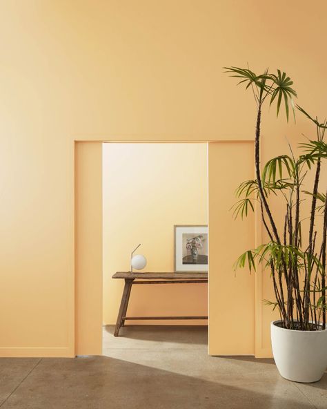 Roasted Sesame Seed 2160-40 | Benjamin Moore Benjamin Moore Yellow, Paint Color Swatches, Yellow Paint Colors, Yellow Doors, Paint Colors Benjamin Moore, Benjamin Moore Colors, Caramel Corn, Orange Paint, Small Hallways