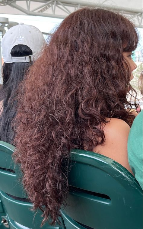 Red Curly Hair On Brown Skin, Brown With Red Undertones Curly Hair, Copper Burgundy Brown Hair, Cherry Wine Curly Hair, Curly Mahogany Hair, Cherry Brunette Curly Hair, Chocolate Cherry Hair Color Dark Curly, Curly Reddish Brown Hair, Dark Auburn Hair Curly