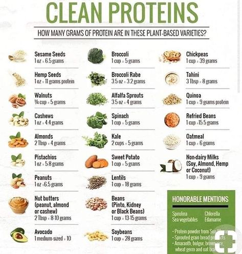 Protein Chart, Sprouting Quinoa, Plant Based Protein Sources, Vegan Protein Sources, Alfalfa Sprouts, Clean Protein, Food Charts, Protein Diets, Best Protein