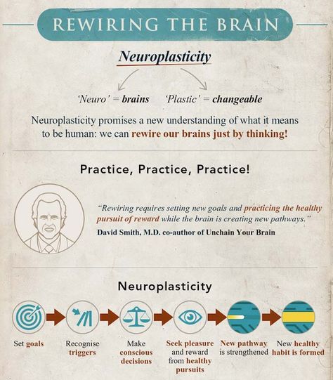 Rewire your brain Retraining Your Brain, Brain Rewire, Rewire Brain, Brain Rewiring, Scattered Brain, Rewire Your Brain, Brain Activities, Life Improvement, It's Meant To Be