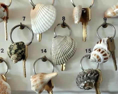 Oyster shell crafts