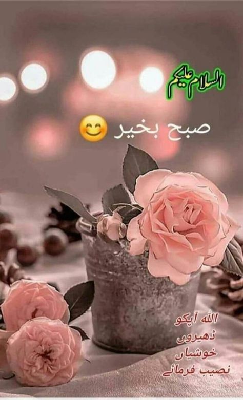 Subha Bakhair, Good Morning Wishes Friends, Subah Bakhair, Funky Quotes, Good Morning Breakfast, Flowers Quotes, Cats Photos, Assalamualaikum Image, Pretty Wallpapers Tumblr