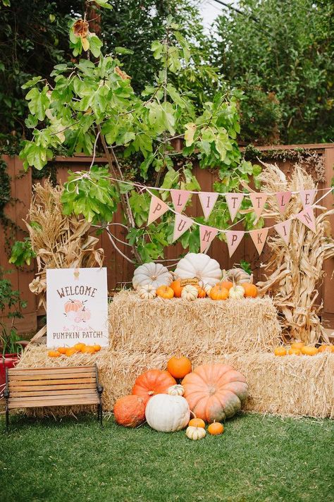 "Little Pumpkin" Fall Picnic Birthday Party on Kara's Party Ideas | KarasPartyIdeas.com (49) Fall Photo Booth Ideas Hay Bales, Fall Farm Birthday Party Ideas, Fall Festival 1st Birthday Party, Fall Themed 1st Birthday Party, Pumpkin Patch Party Decorations, Fall Bday Decor, Fall Themed Photo Booth Backdrop, Pumpkin Party Backdrop, White Pumpkin Birthday Party