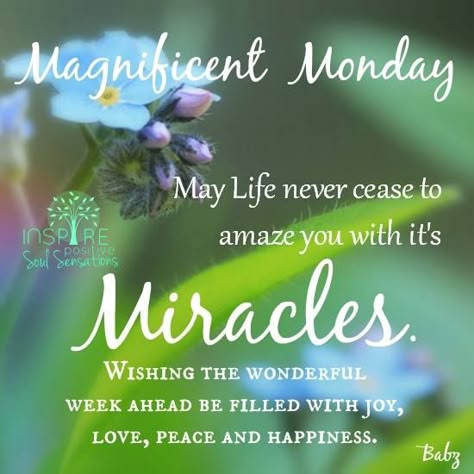 ✣ "May Life never cease to amaze you with its Miracles.  Wishing the wonderful week ahead be filled with joy, love, peace and happiness." ✯ ✯ ✯ Marvelous Monday, Monday Greetings, Monday Wishes, Terrific Tuesday, Monday Pictures, Happy Monday Quotes, Happy Monday Morning, Weekend Images, Today Is Monday