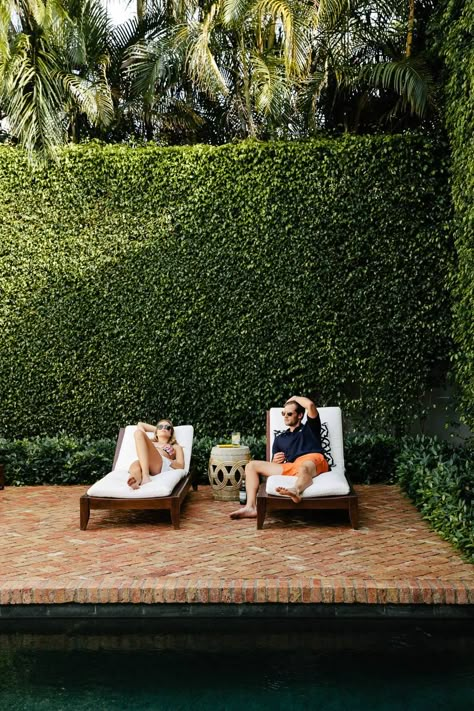 Ivy Wall, Reclaimed Brick, Pool Fence, Pool Patio, Green Wall, Pool Designs, Backyards, Backyard Pool, Outdoor Design