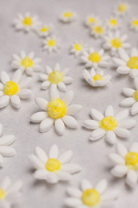 sugar paste daisies on a baking sheet Chocolate Daisy Flower, Daisy Fondant Flowers, How To Make Daisies On A Cake, How To Make Fondant Daisies, Daisy Icing Flowers, Daisy Diy Crafts, How To Make Daisies Out Of Frosting, Easy Daisy Cake, How To Make Daisy Flowers For Cakes