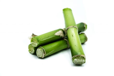 Why Bamboo Extract May Be the Fountain of Youth For Your Hair Hair Doctor, The Fountain Of Youth, Bamboo Plant, Bamboo Extract, Hair Supplements, Fast Growing Plants, Hair Pomade, Fountain Of Youth, Bamboo Plants