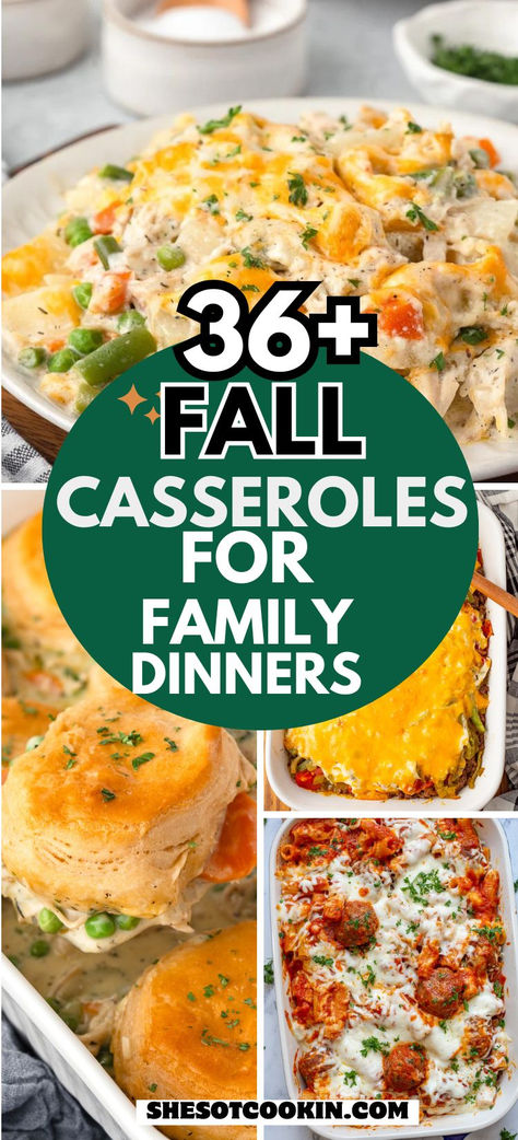 Photo collage with cozy fall dinnner casseroles with text overlay. Cheap Dinners Casseroles, Best Casseroles Dinners, Dinner Bake Ideas, Dinner For Fall Weather, Cold Fall Dinner Ideas, Quick Comfort Food Recipes, Easy Dinner Recipes For Family Casserole, Fall Easy Recipes Dinners, Cheap Dinner Casseroles