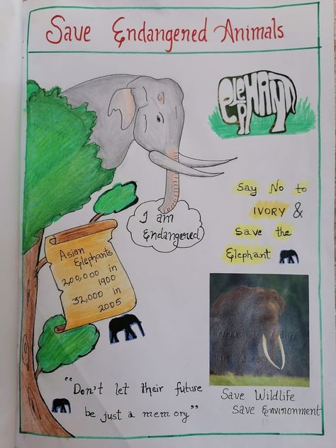 Poster On Endangered Animals, Endangered Animals Poster Project, Save Endangered Animals Poster, Poster On Wildlife, Save Wild Life Poster Drawing, Poster On Wildlife Conservation, Save Wildlife Poster Painting, Save Wildlife Poster Ideas, Endangered Animals Art