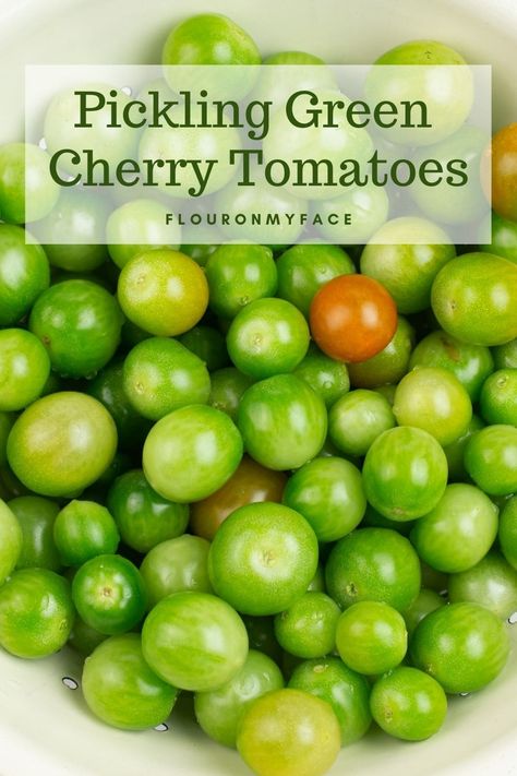 Canned Green Cherry Tomatoes, Pickling Cherry Tomatoes, Picked Green Cherry Tomatoes, Pickles Cherry Tomatoes, Green Cherry Tomato Pickles, How To Pickle Green Tomatoes, Pickling Green Tomatoes, Green Tomatoes Pickles, Canning Green Cherry Tomatoes