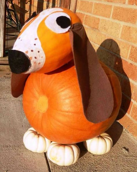 ☆☆☆ Basset Hound Pumpkin 12 October 2015. ☆☆☆ Halloween Pumpkin Ideas Paint, Halloween Pumpkin Ideas, Creative Pumpkin Decorating, Pumpkin Decorating Contest, No Carve Pumpkin Decorating, Dog Pumpkin, Pumpkin Contest, Paint Easy, Halloween Pumpkin Designs