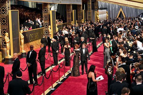 Oscars Aesthetic, Red Carpet Aesthetic, Hollywood Aesthetic, Academy Awards Red Carpet, Red Carpet Awards, Oscars Red Carpet, Hollywood Red Carpet, Oscar Award, Celebrity News Gossip