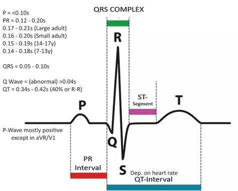 How to read a telemetry strip and values Telemetry Technician, Ns 125, Emt Study, Ekg Interpretation, Medical Assistant Student, Pr Interval, Basic Anatomy And Physiology, Nurse Study Notes, Vet Medicine