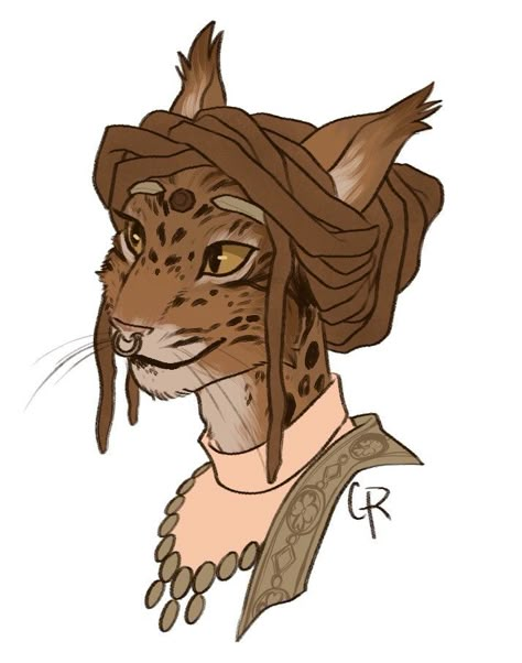 Khajiit Art, Vault Dweller, Elder Scrolls Art, Elder Scrolls Online, Cat Character, Dungeons And Dragons Characters, Dungeons And Dragons Homebrew, Dnd Art, The Elder Scrolls