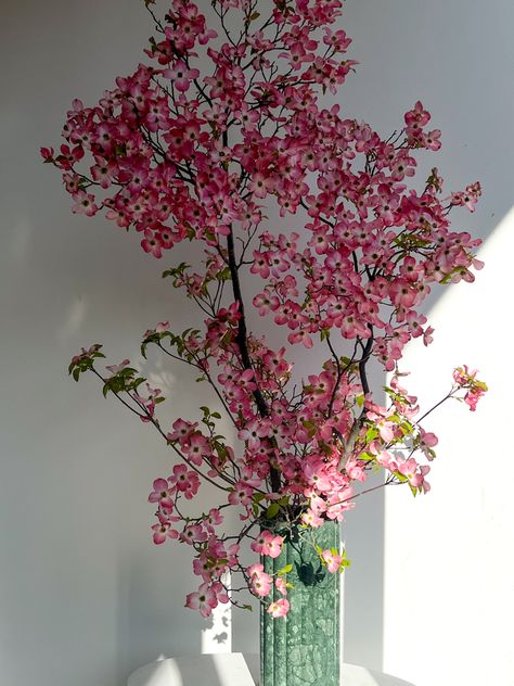 #dogwood #floristry #flowers #sydney #branch #pink #pretty #lighting Dogwood Arrangement, Dogwood Flower Bouquet, Dogwood Branches Arrangement, Red Stem Dogwood, Dogwood Flower Photography, Pink Flowering Dogwood Tree, Red Dogwood, Dogwood Branches, Pink Dogwood