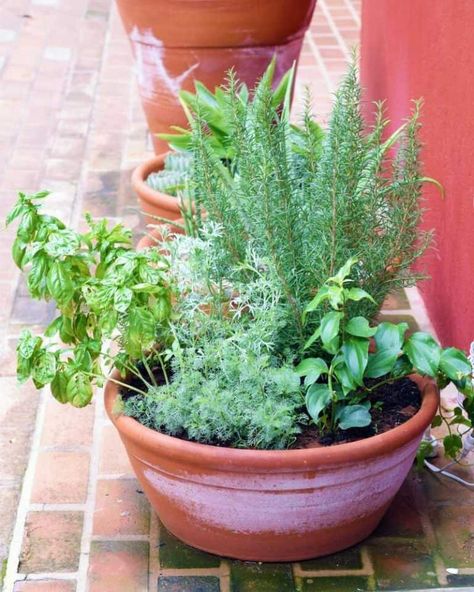 Pots Of Herbs, Herb Garden For Deck, Herb Porch Garden, Herb Planter Ideas Indoor Kitchen, Herb Pot Garden, Best Pots For Herbs, Herbs In Planters, Cloth Pots For Plants, Potted Herb Garden Ideas Outdoors