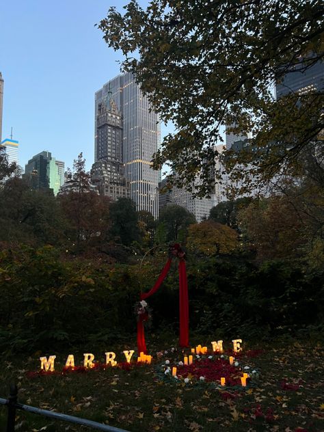 central park, nyc, proposal, engagement, photoshoot, romantic, new york city, wedding, fiancé, marry me New York City Proposal Christmas, New York City Proposal, Concert Proposal, Vegas Proposal, Central Park Proposal, Nyc Proposal, Park Proposal, Romantic Valentines Day Ideas, Christmas Proposal