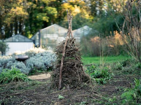 The Bug Snug: An Easy DIY Insect Habitat by OmVed Gardens Insect Habitat, Hanging Orchid, Earth Projects, Habitat Garden, Courtyard Gardens, Potager Garden, Garden Junk, The Bug, Wildlife Gardening