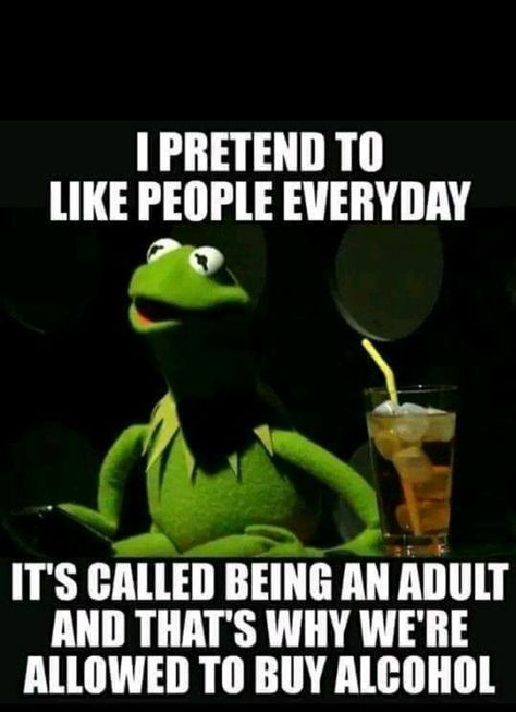 Kermit Memes Hilarious, Funny Kermit Memes, Kermit Memes, Kermit Meme, Kermit Funny, Funny Cartoon Quotes, Cartoon Quotes, Sarcastic Quotes Funny, Work Memes