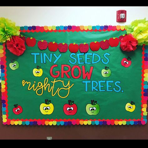 Tiny Seeds Grow Mighty Trees, Classroom Bulletin Boards, In The Fall, Bulletin Boards, Bulletin Board, Apples, The Fall, Seeds, Trees