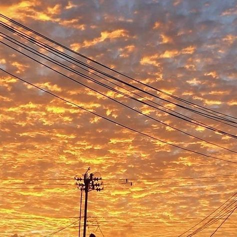 #goldenhour Golden Hour Clouds, Gold Sunset, Just My Type, Sunrise Pictures, Cap Cut, Yellow Sky, Cute Pastel Wallpaper, My Type, Sky Sunset