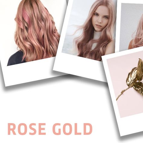 6 Enchanting Rose Gold Hair Ideas & Formulas | Wella Blog Hair Color Formulas Wella, Rose Gold Formula, Rose Gold Toner, Rose Hair Color, Rose Gold Hair Color, Gold Hair Color, Gold Hair Colors, Color Formulas, Hair Color Rose Gold