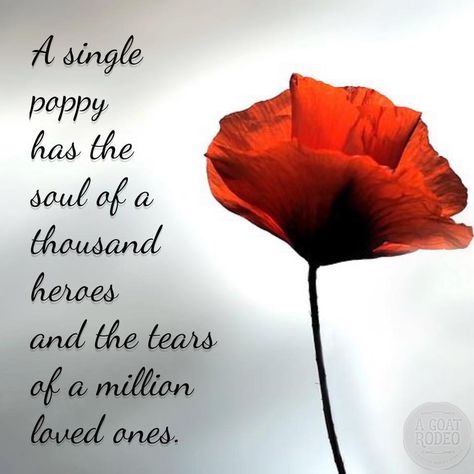 Lest We Forget Tattoo, Remembrance Day Images, Remembrance Day Photos, Remembrance Day Poems, Remembrance Day Pictures, Remembrance Day Quotes, Memorial Day Poppies, Remembrance Day Posters, Wall Art Trees