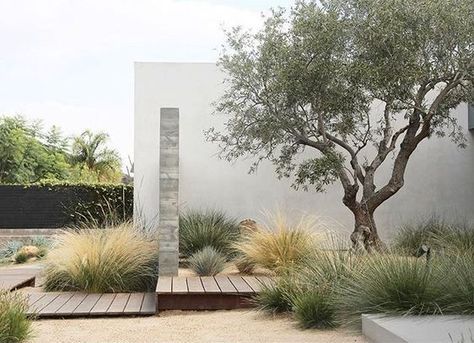 Olive Trees Landscape, Xeriscape Front Yard, Garden Obelisk, Front Yard Design, California Garden, Dry Garden, Coastal Gardens, Have Inspiration, Mediterranean Garden