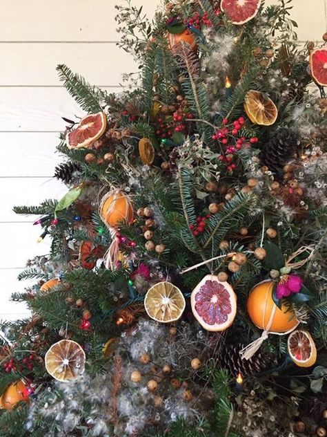 Orange Christmas Tree, Natal Natural, Pagan Christmas, Fruit Christmas Tree, Christmas Tree Inspo, Cottagecore Christmas, Floral Christmas Tree, Aussie Christmas, Florida Christmas