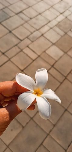 instagram story ideas | insta story | spring aesthetic | springtime | flowers | pink flowers Flower Aesthetic Snapchat, Snapchat Cover Photos Aesthetic, Real Flower Pictures Nature, Flowers Snapchat Streak, Flower Aesthetic Snap, Snapchat Cover Photo, Snapchat Chat Wallpapers, Flowers Aesthetic Snapchat, Snapchat Wallpaper Chat