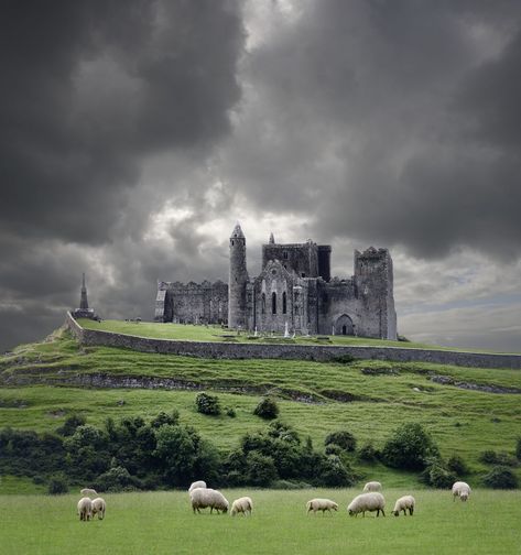 Cashel Ireland, Rock Of Cashel, Tipperary Ireland, Ross Castle, Boldt Castle, County Sligo, Belfast City, County Donegal, Castles In Ireland