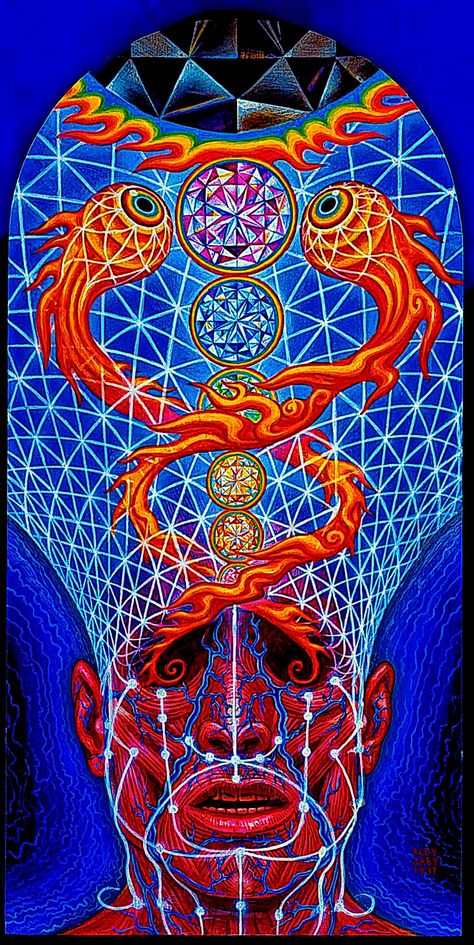 Psydelic Art, Dmt Visuals, Alex Gray Art, Dmt Art, Metaphysical Art, Trippy Visuals, Alex Grey, Art Optical, Psychadelic Art