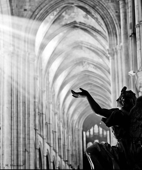 https://flic.kr/p/PZ3eFS | Mathieu Meunier ,Toching the Divine Photographie Natural light in the Cathedral of Lisieux France The Cathedral, Sacred Places, Gothic Architecture, Jolie Photo, Black White Photos, White Photo, Black And White Photographs, The Divine, Light And Shadow