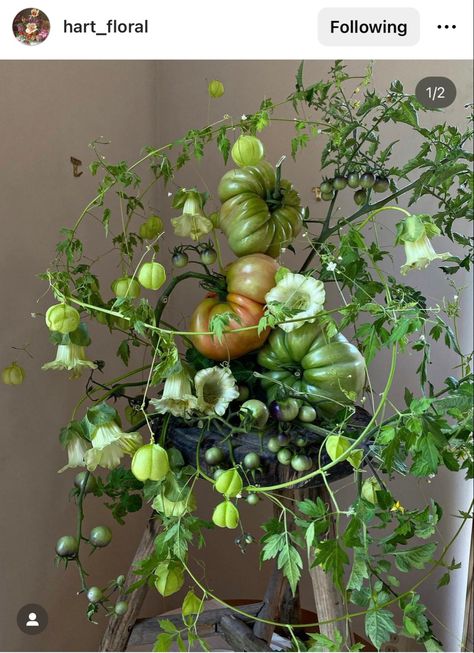 Vegetable Table Decor, Fall Floral Table Arrangements, Fruit And Flower Arrangements, Vegetable Wedding, Sculptural Plants, Table Dinner, Home Aesthetic, Flower Therapy, Green Tomatoes