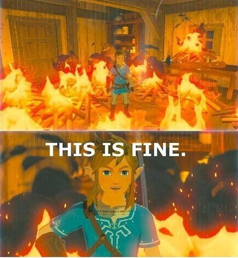 Botw Zelda, Legend Of Zelda Memes, Zelda Funny, Zelda Botw, Video Game Memes, Link Zelda, Zelda Art, Legend Of Zelda Breath, Zelda Breath