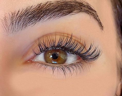 Short Eye Lash Extensions, Natural Looking Individual Lashes, Light Natural Eyelash Extensions, Lash Extensions For Protruding Eyes, Beautiful Eyelash Extensions, Natural Full Eyelash Extensions, Beautiful Lashes Extensions, Lash Extensions For Deep Set Eyes, Eyelash Extensions Long Wispy