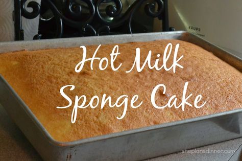 Donut Fillings, Milk Sponge Cake Recipe, Hot Milk Sponge Cake Recipe, Hot Milk Sponge Cake, Hot Milk Cake, Cream Cheese Frosting Cake, Everything I Am, Vanilla Sponge Cake, I Am Exhausted