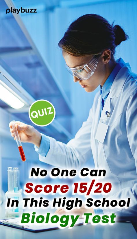 No One Can Score 15/20 In This High School Biology Test And It's Driving The Internet Crazy! . Playbuzz Quiz General Knowledge Quiz Trivia Buzzfeed Quiz Quizzes Test IQ Iq Quizzes, Biology Test, Iq Test Questions, Science Trivia, Science Quiz, Test For Kids, School Biology, Playbuzz Quiz, Knowledge Test